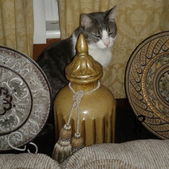 ♥️  WELCOME TO MY CLOSET! - Picture 1 of 2